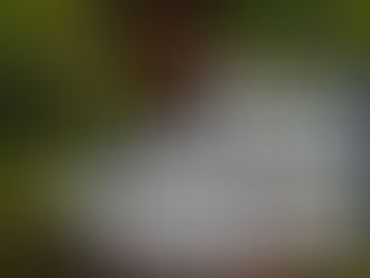 On the death of Karon Blake...