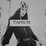 Untitled design (19).png