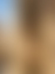 EPISODE 16 - IT WAS THE MOMENT