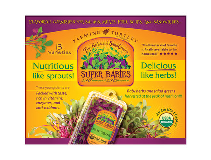 Supper babies Salad Ad