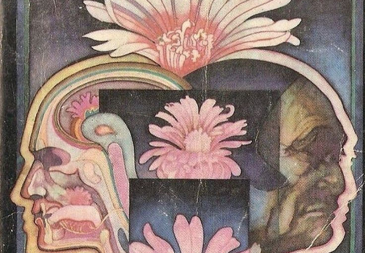 Part Two: How the Oral Microbiome Shapes Health & Vitality