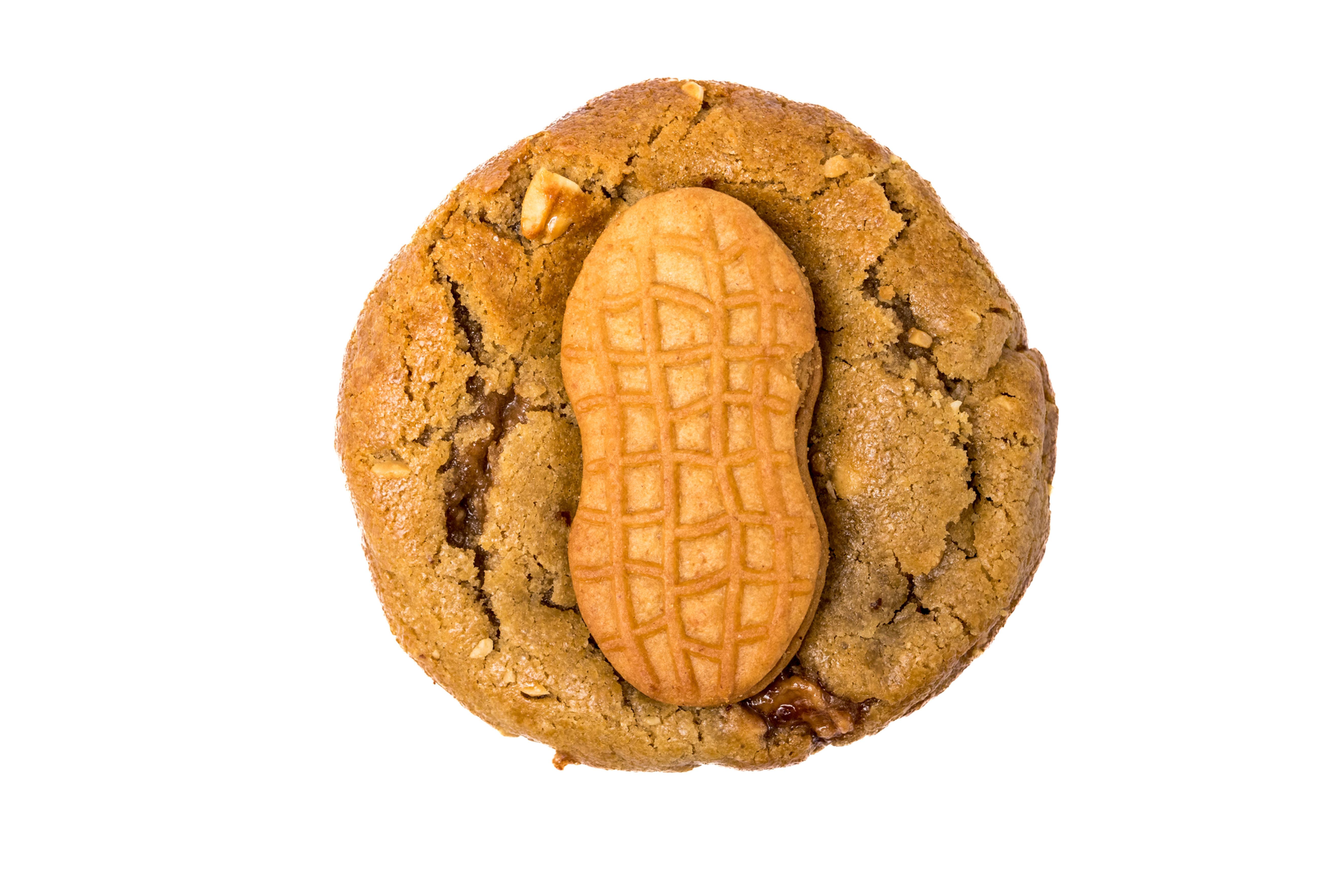 Peanut Butter Jelly Time