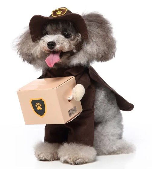 Thumbnail: Pet Products Clothing