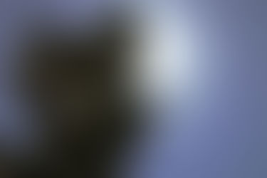 Pennies From Heaven: How to Select the Right Angel Investors