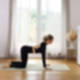 Winterdepression vorbeugen - Yoga Übungen zur Prävention - Katze Kuh