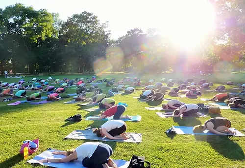 Outdoor Yoga Mainz Lisa Kauff, Monkey Yoga Volkspark