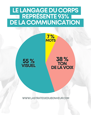 Copie de CAROUSSELS.png