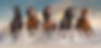 shutterstock_1029842671.jpg