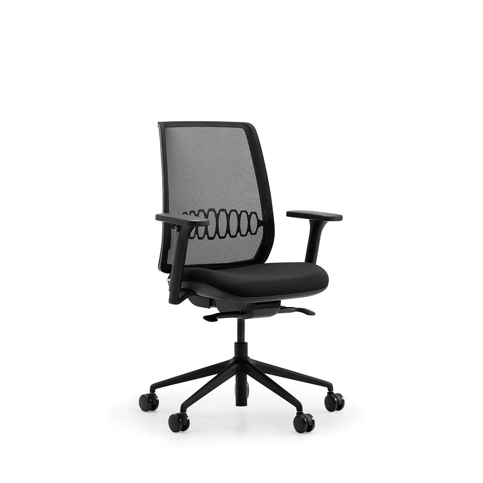 Zinn Mesh Office Chair