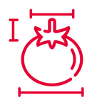 fruit sizing icon