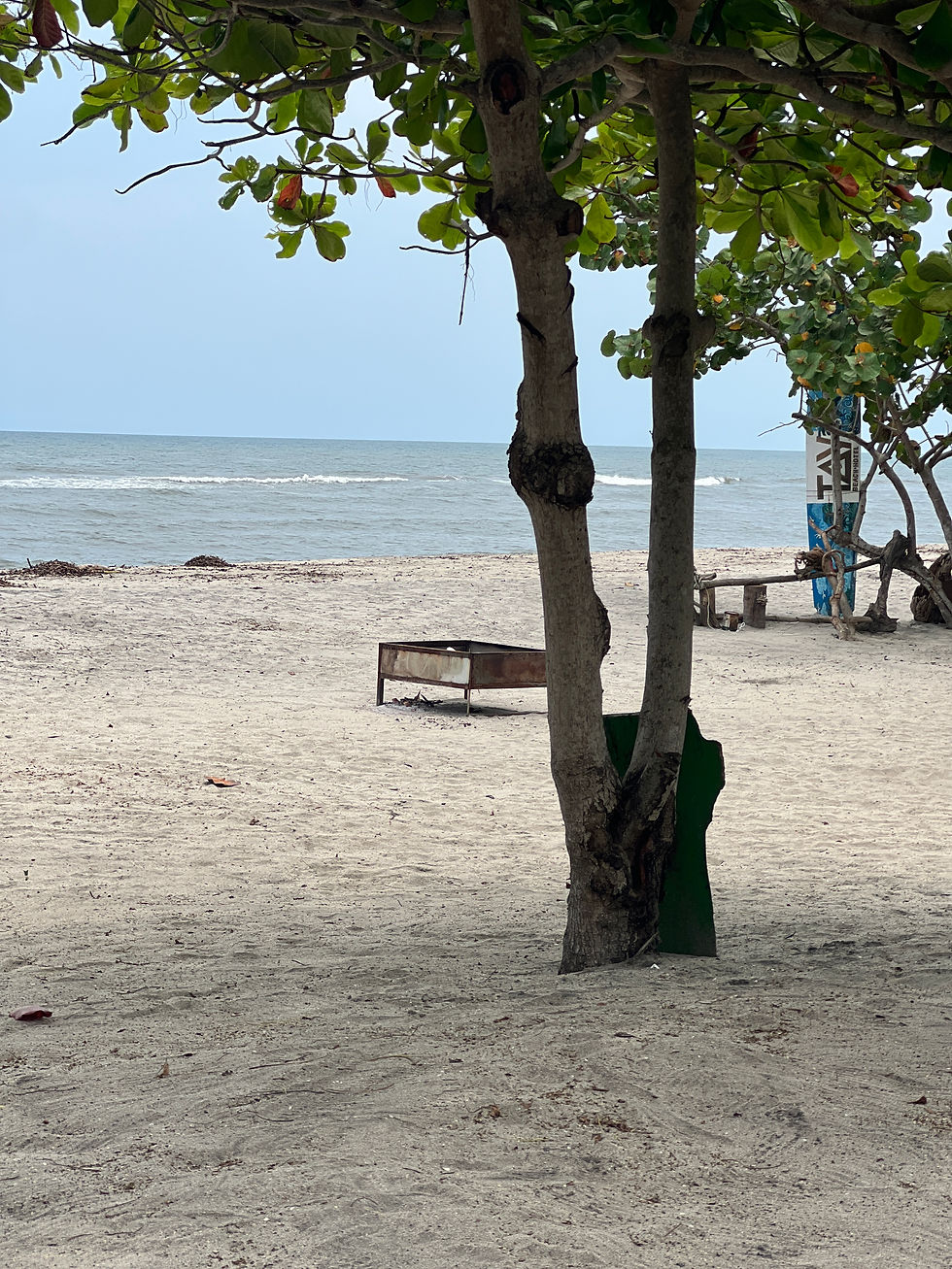 Scenic View in Santa Marta