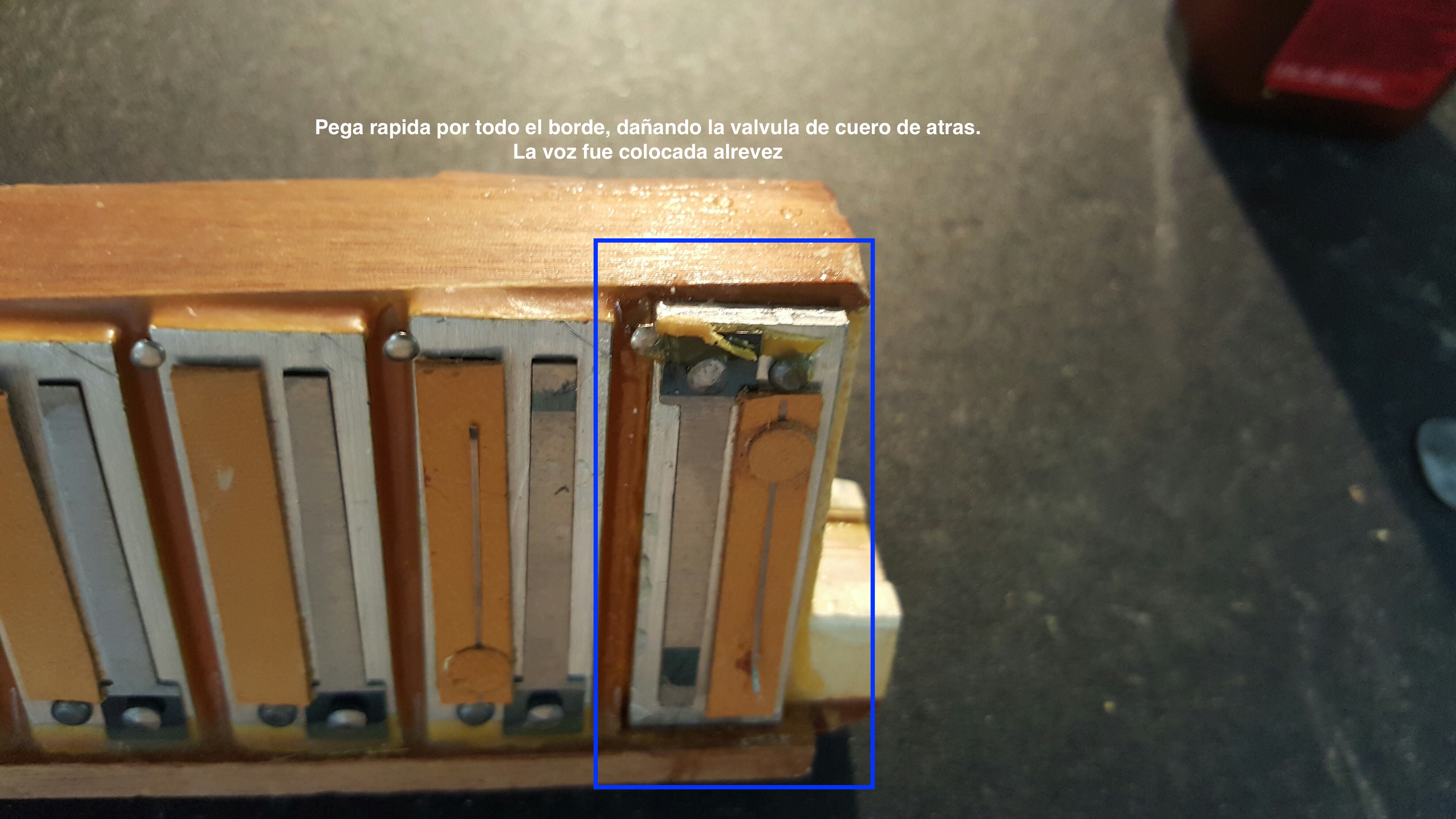 Accordion Tuning & Repair Florida Accordions by De Vincenzo