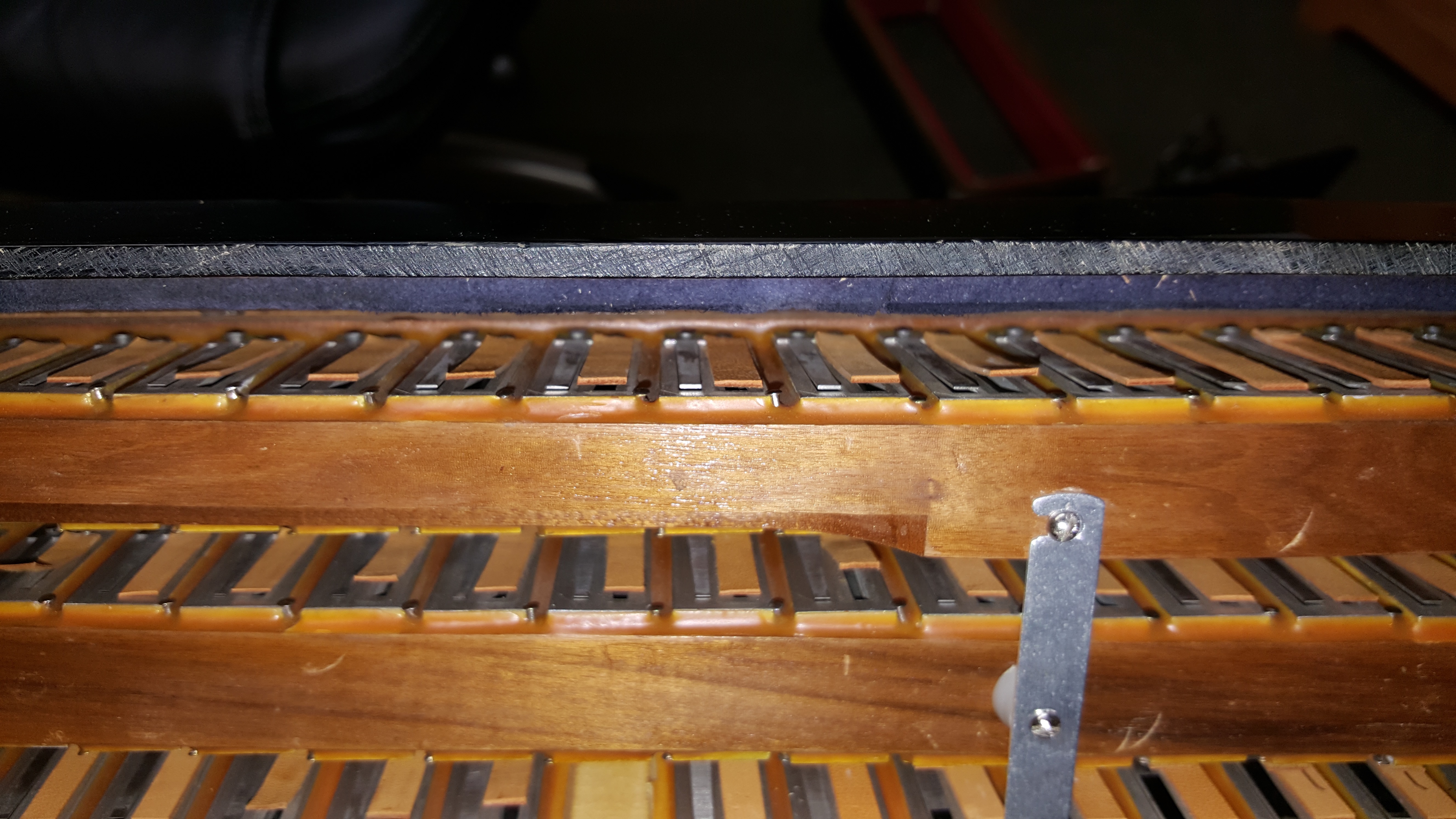 Accordion Tuning & Repair Florida Accordions by De Vincenzo