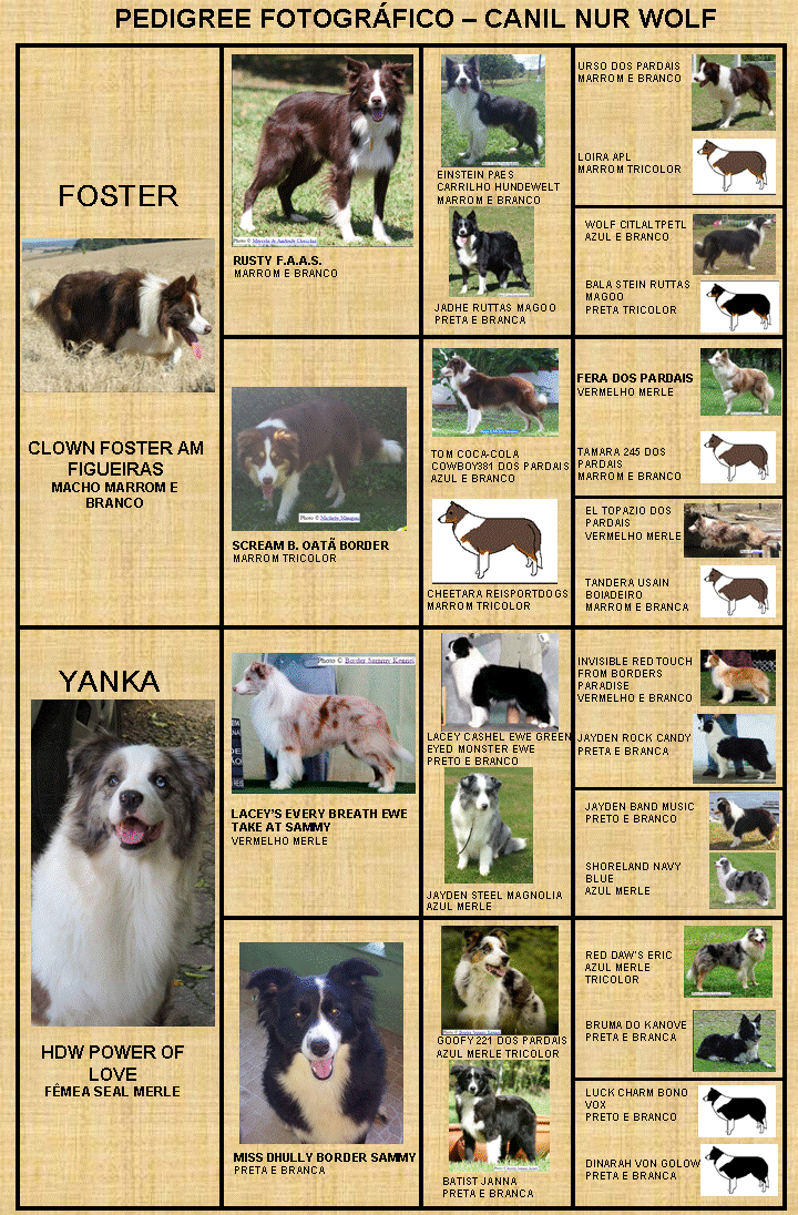 PEDIGREE FOTOGRÁFICO