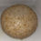 Miniatura: Focaccia al formaggio Integrale 