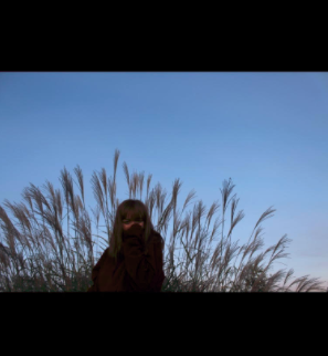Fall