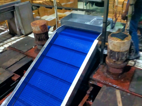 Swan Neck Conveyor