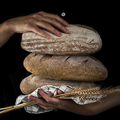 FREEDOM FROM OVEREATING: DAY 15