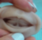 LA posición de la lengua en reposo debe estar adosada al paladar