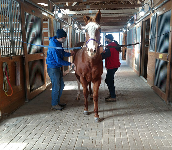 IMG_20220113_113208421 (1).jpg