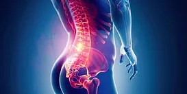 Image of a spine with pain in the lower back and pelvis