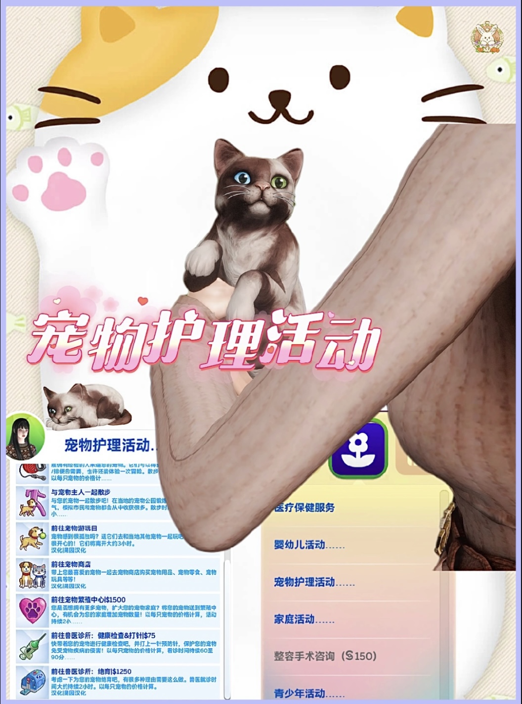 宠物护理活动