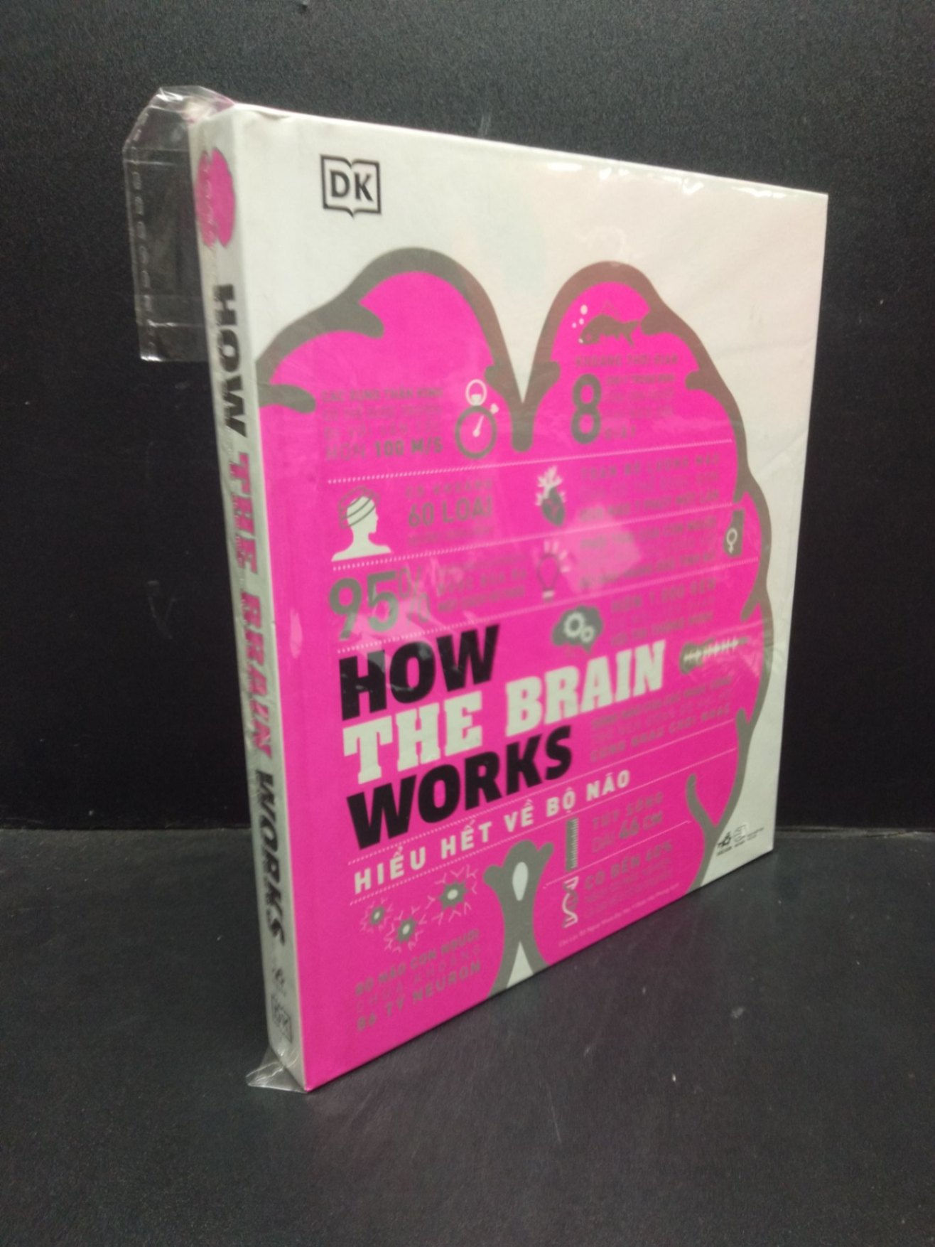 How the brain works hiểu hết về bộ não