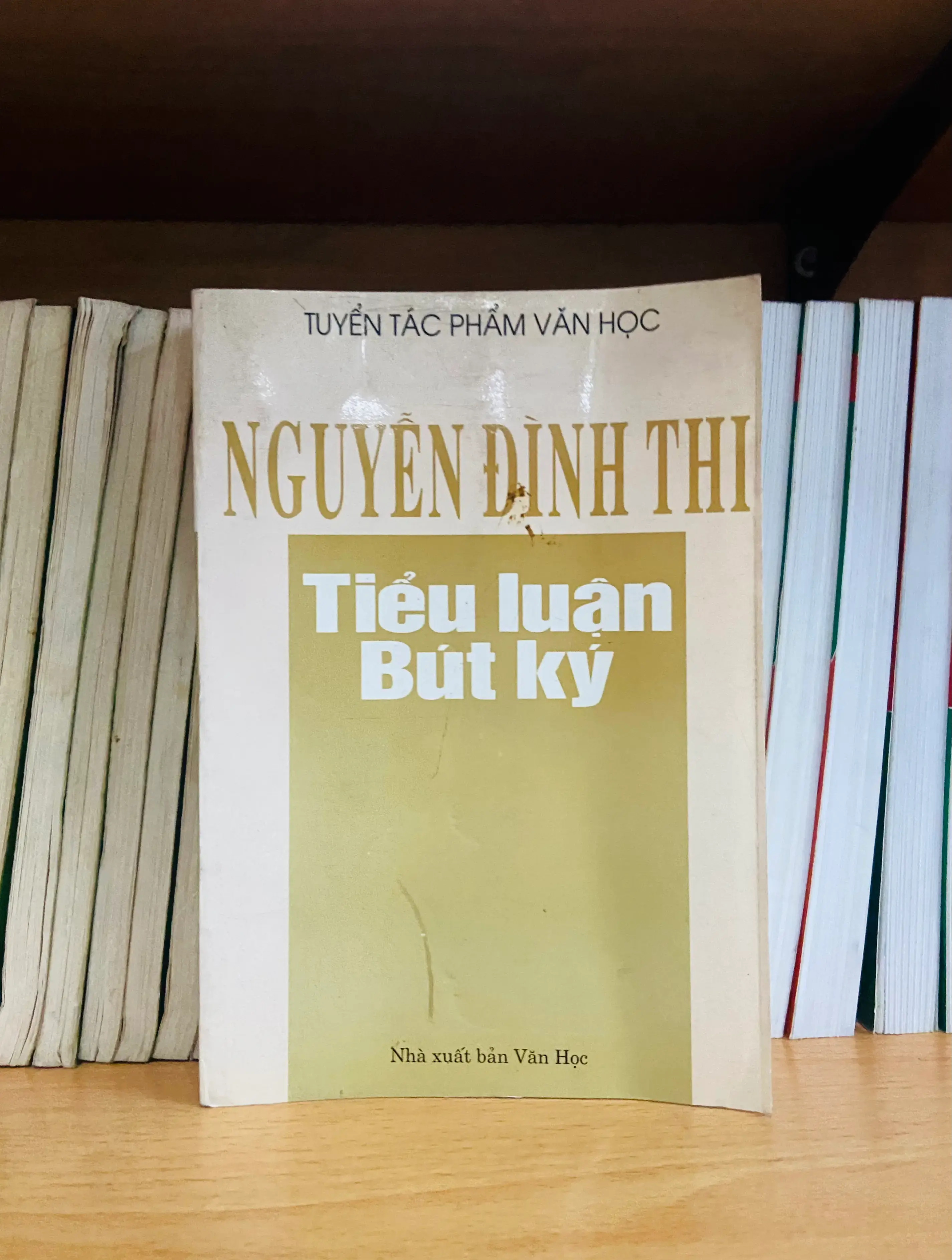 Tiểu luận bút ký Nguyễn Đình Thi