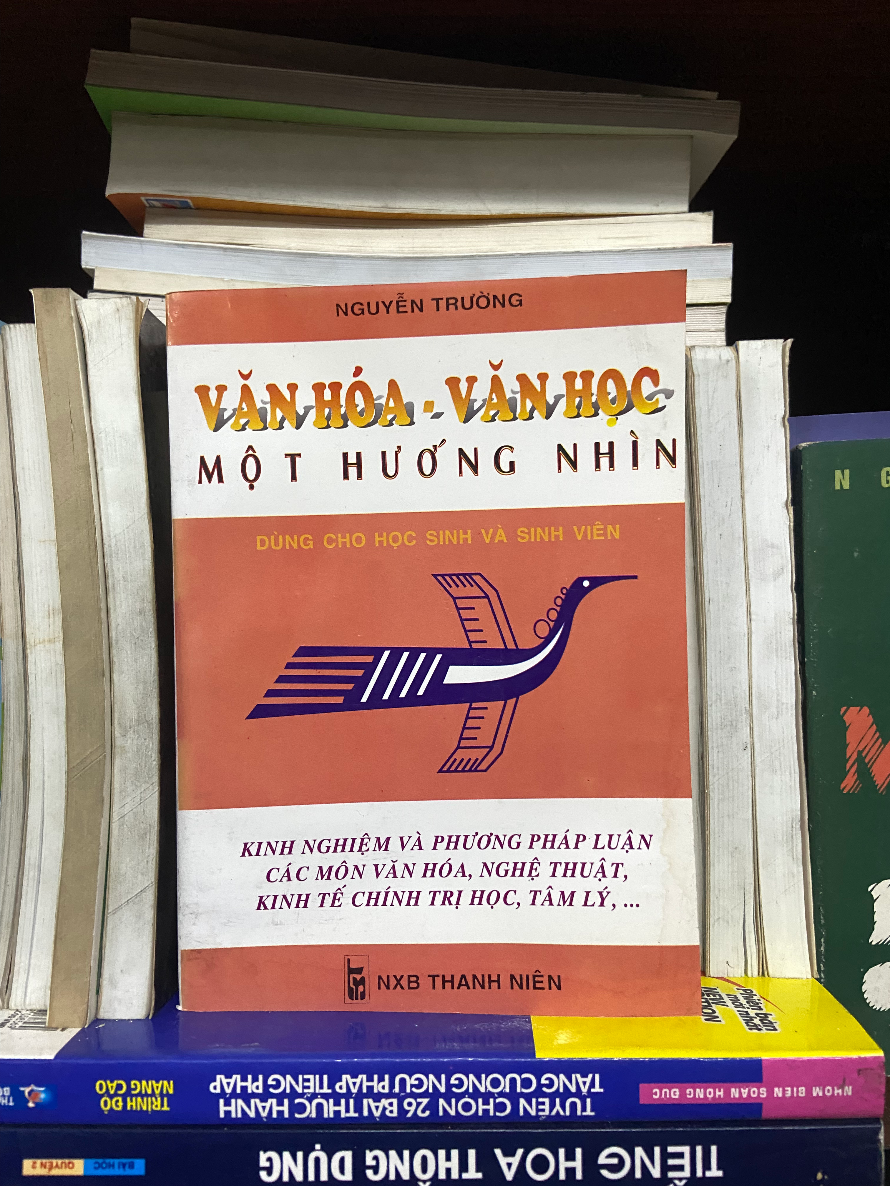 Văn hóa, văn học một hướng nhìn  - Nguyễn Trường
