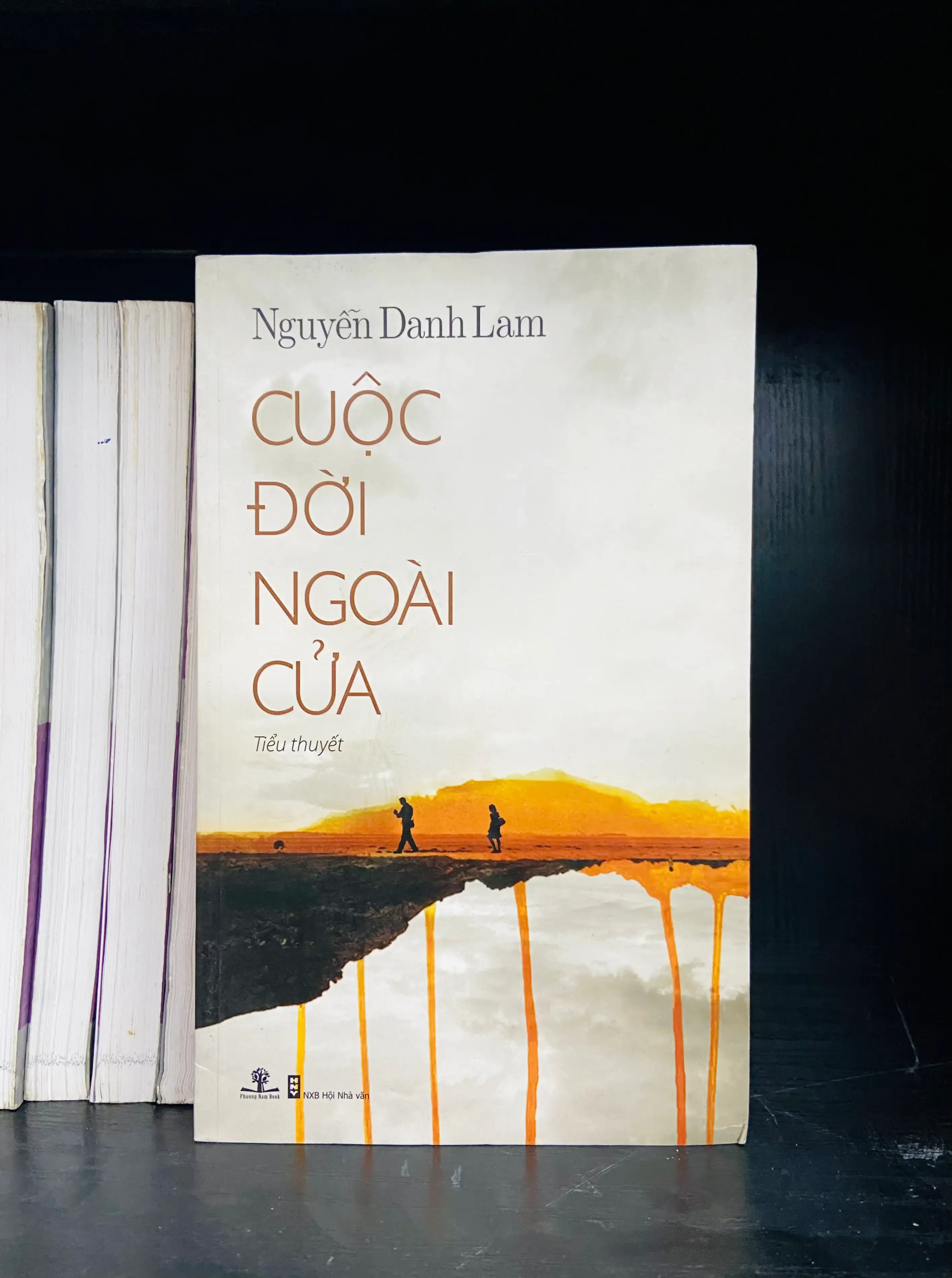 Cuộc đời ngoài cửa - Nguyễn Danh Lam