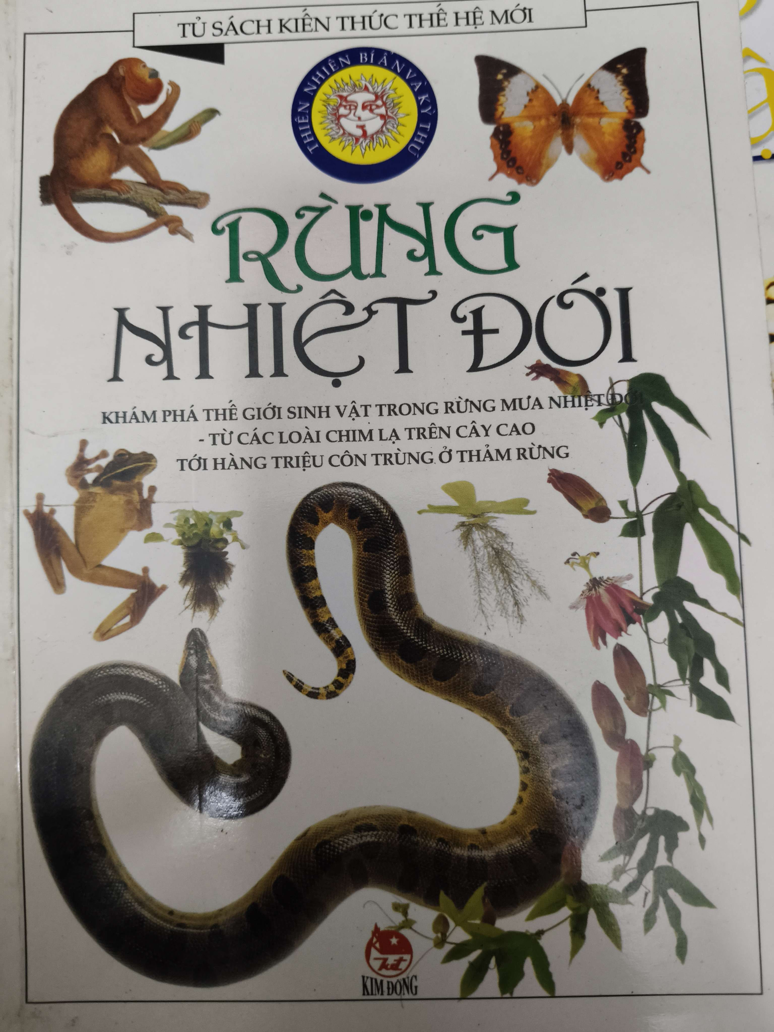 Rừng nhiệt đới