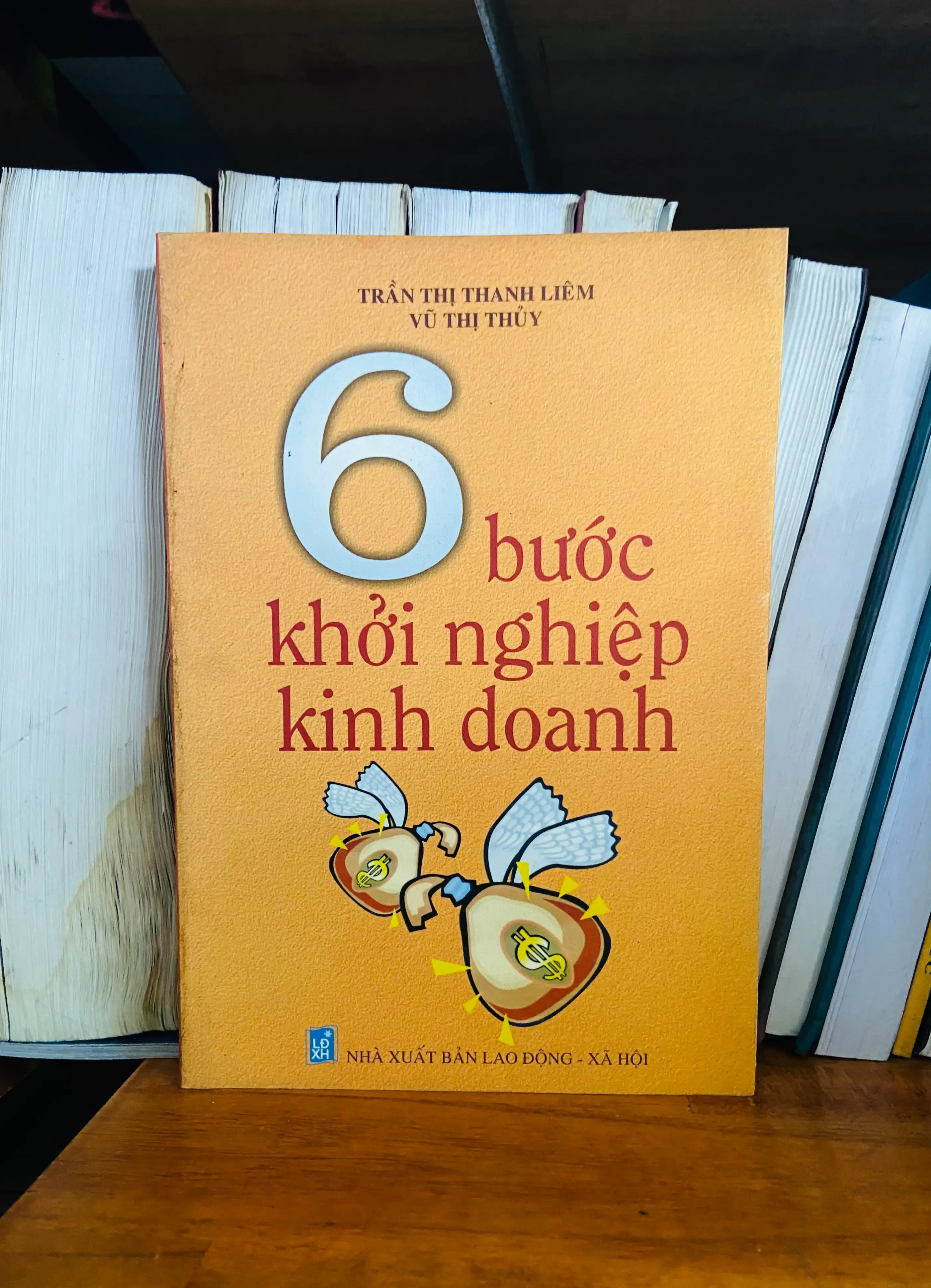 6 bước khởi nghiệp kinh doanh - Trần Thị Thanh Liêm, Vũ Thị Thúy