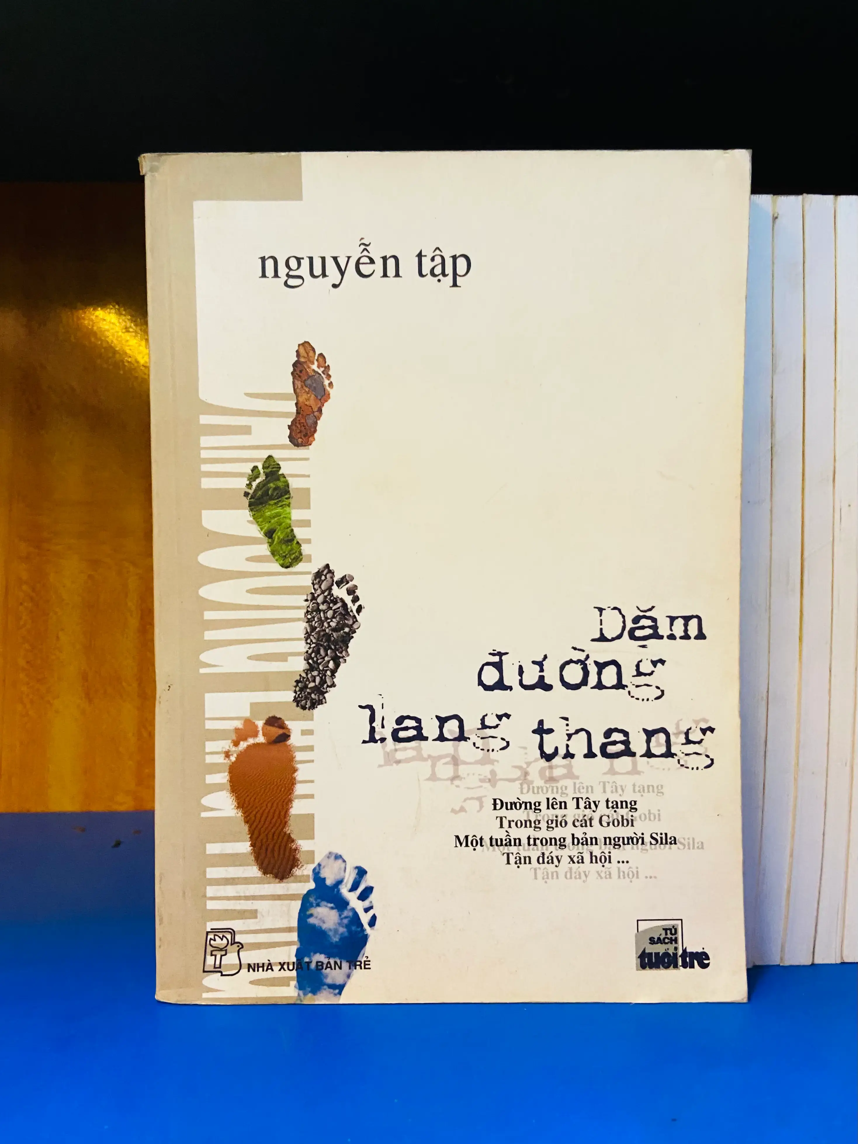 Dặm đường lang thang - Nguyễn Tập