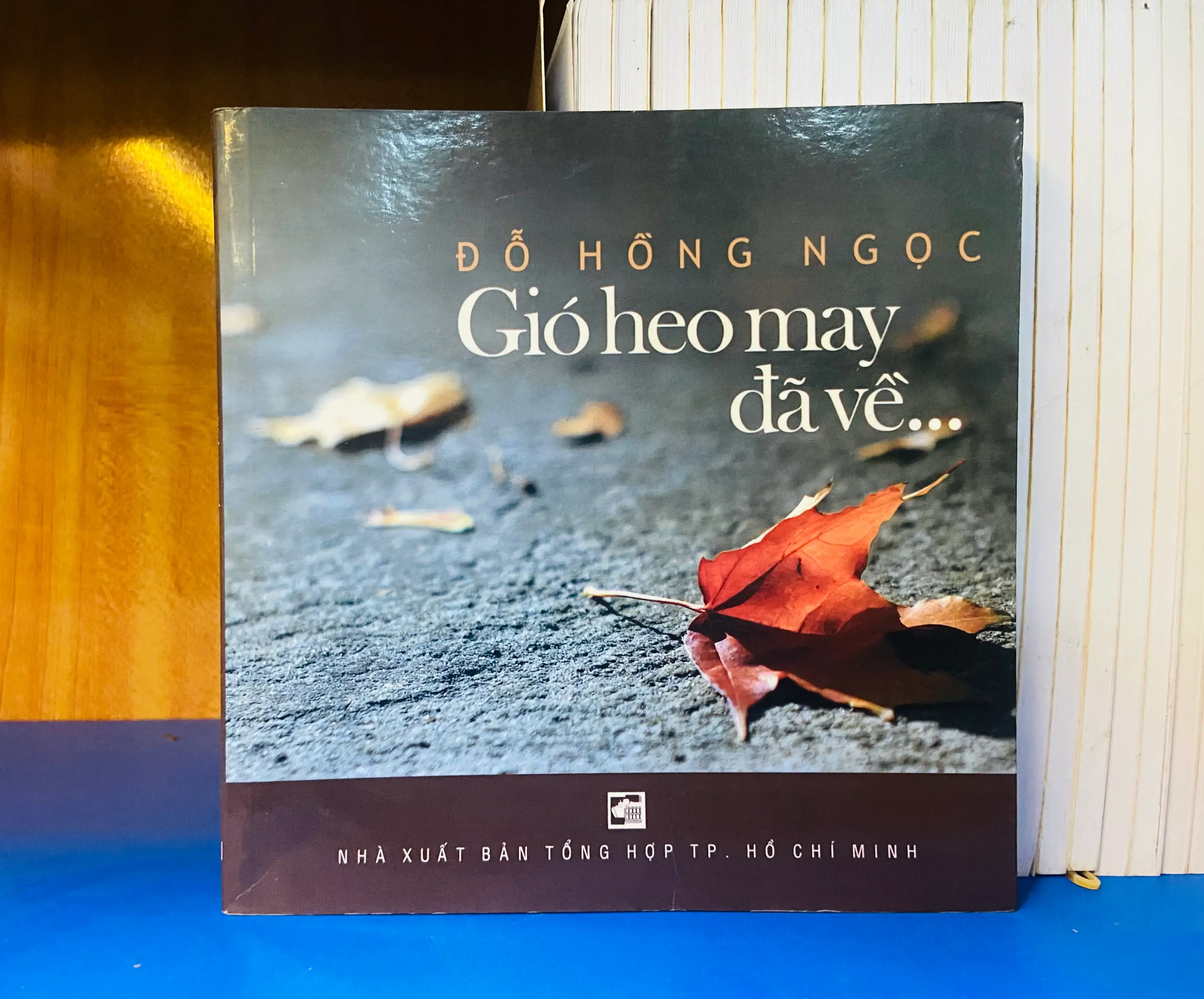 Gió heo may đã về... - Đỗ Hồng Ngọc