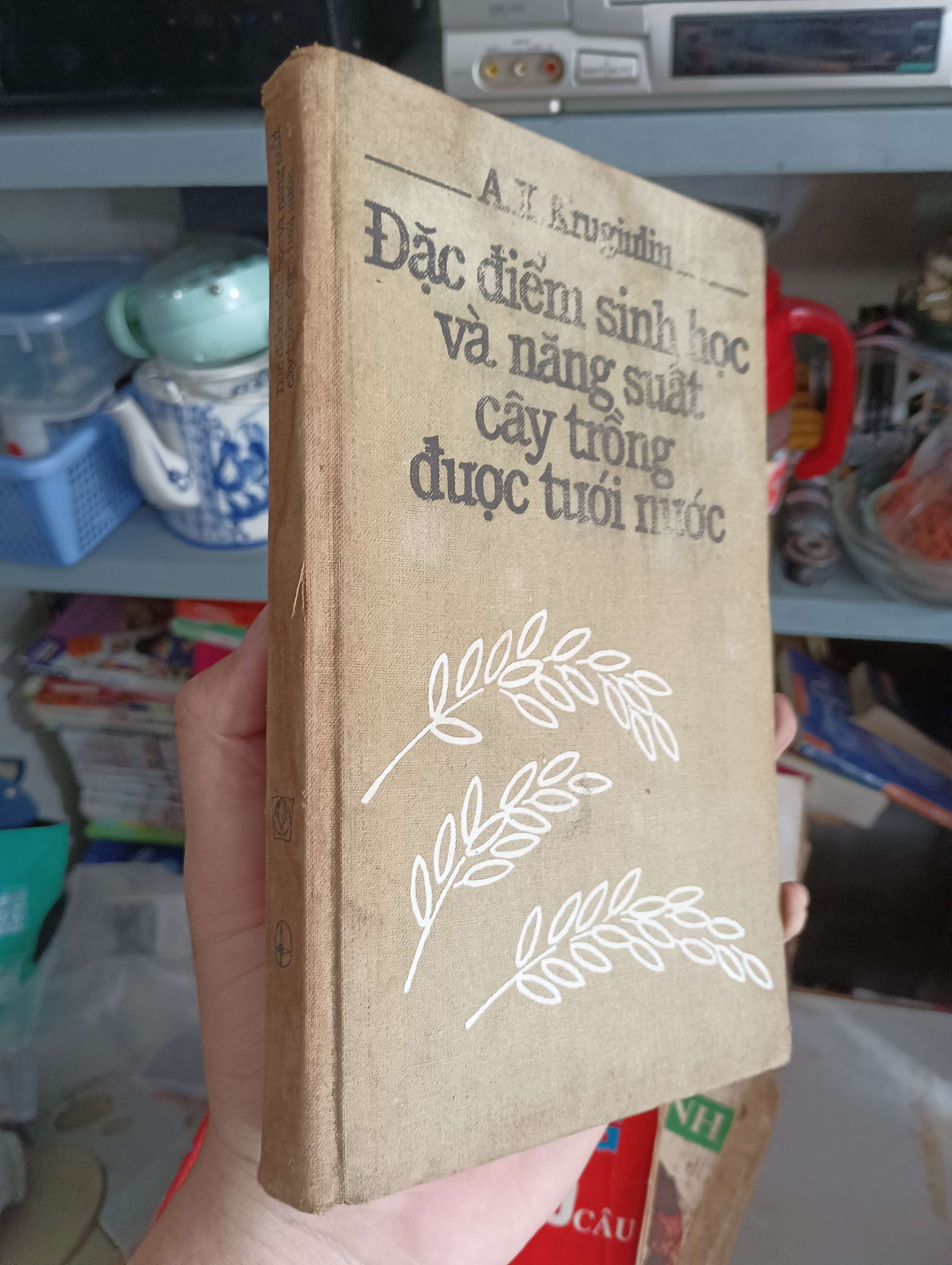 Đặc điểm sinh học và năng suất cây trồng được tưới nước - A. I. Krugliudin