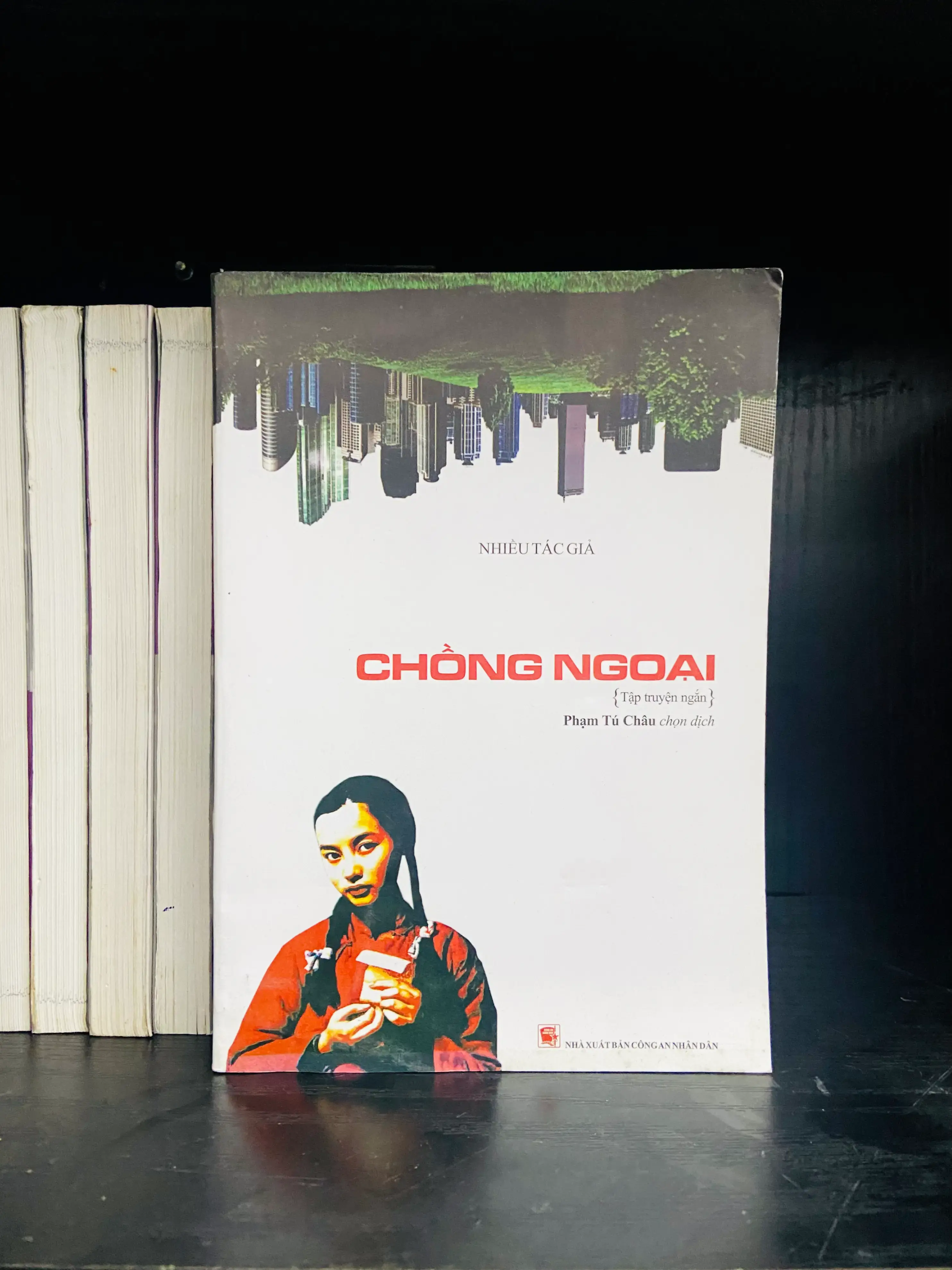 Chồng Ngoại - Nhiều tác giả