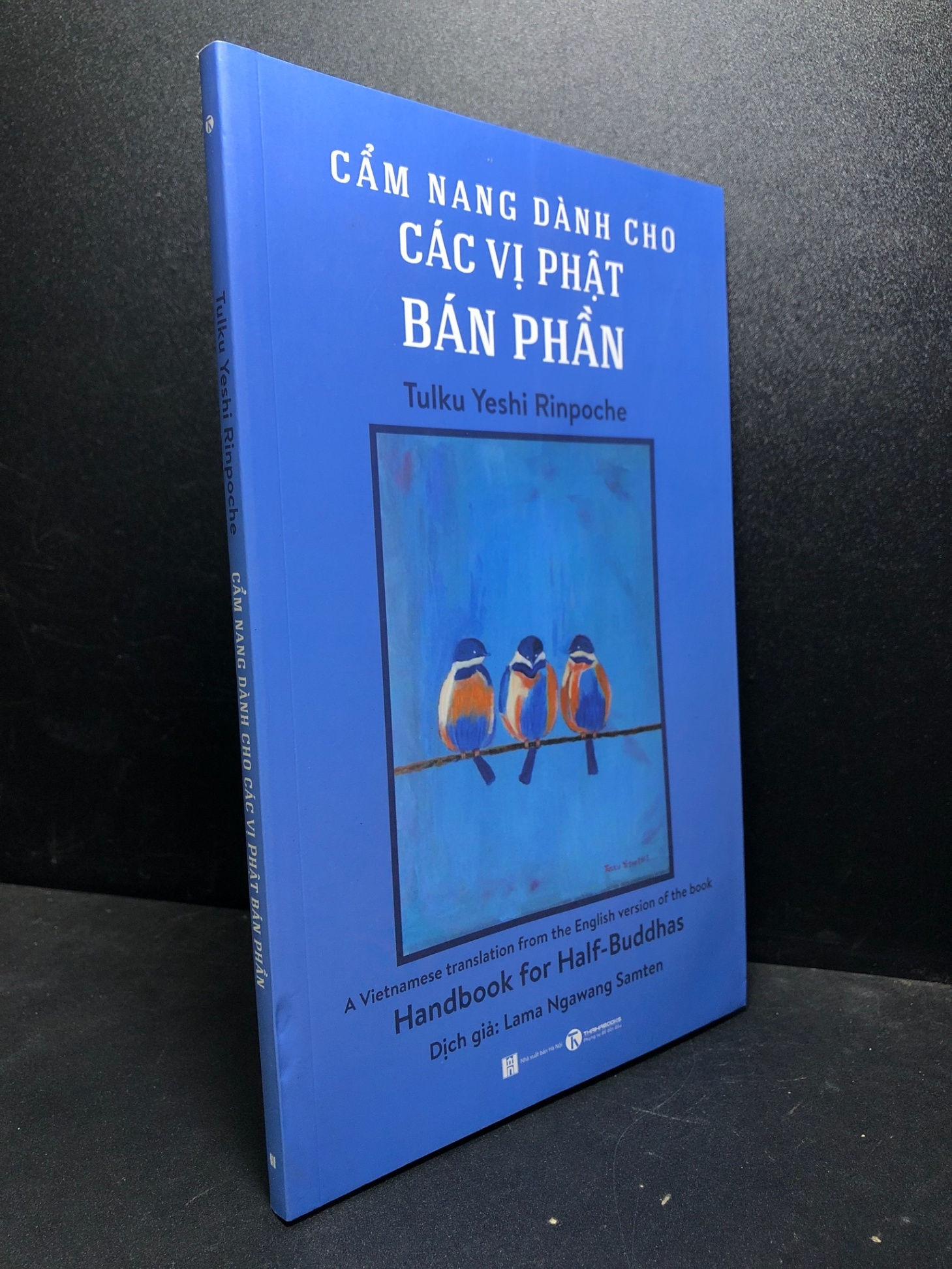 Cẩm nang dành cho các vị Phật Bán Phần - Tulku Yeshi Rinpoche