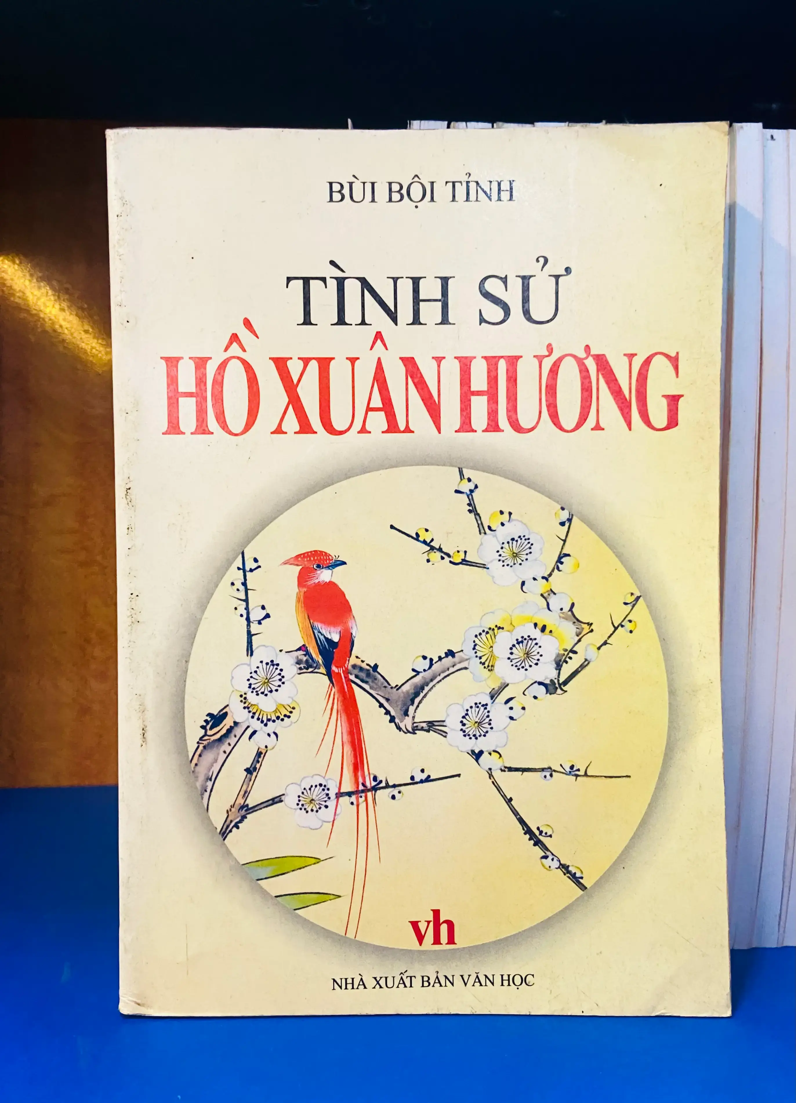 Tình sử Hồ Xuân Hương - Bùi Bội Tỉnh