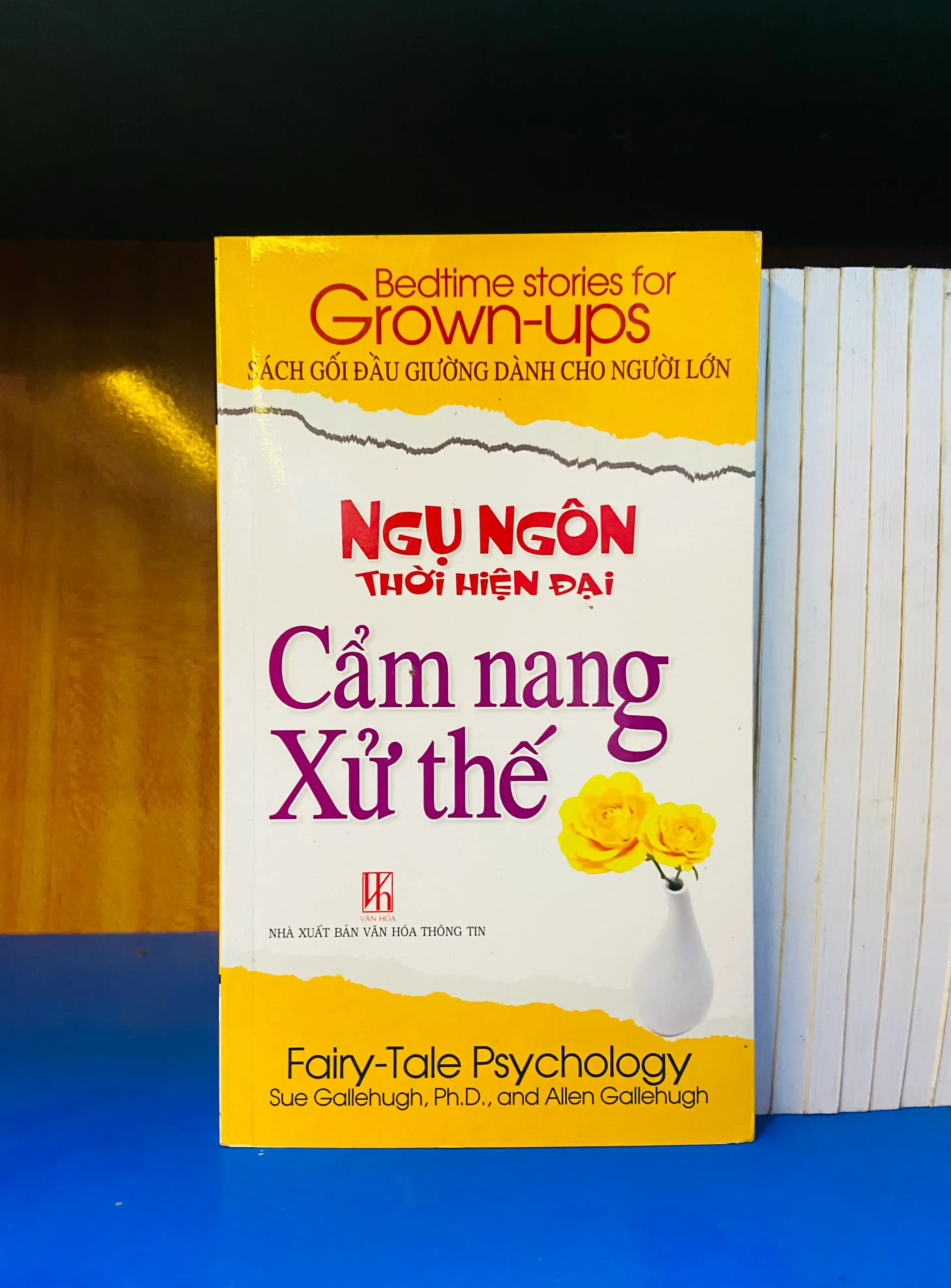 Cẩm nang xử thế - Sue Gallenhugh, Ph.D., Allen Gallenhugh