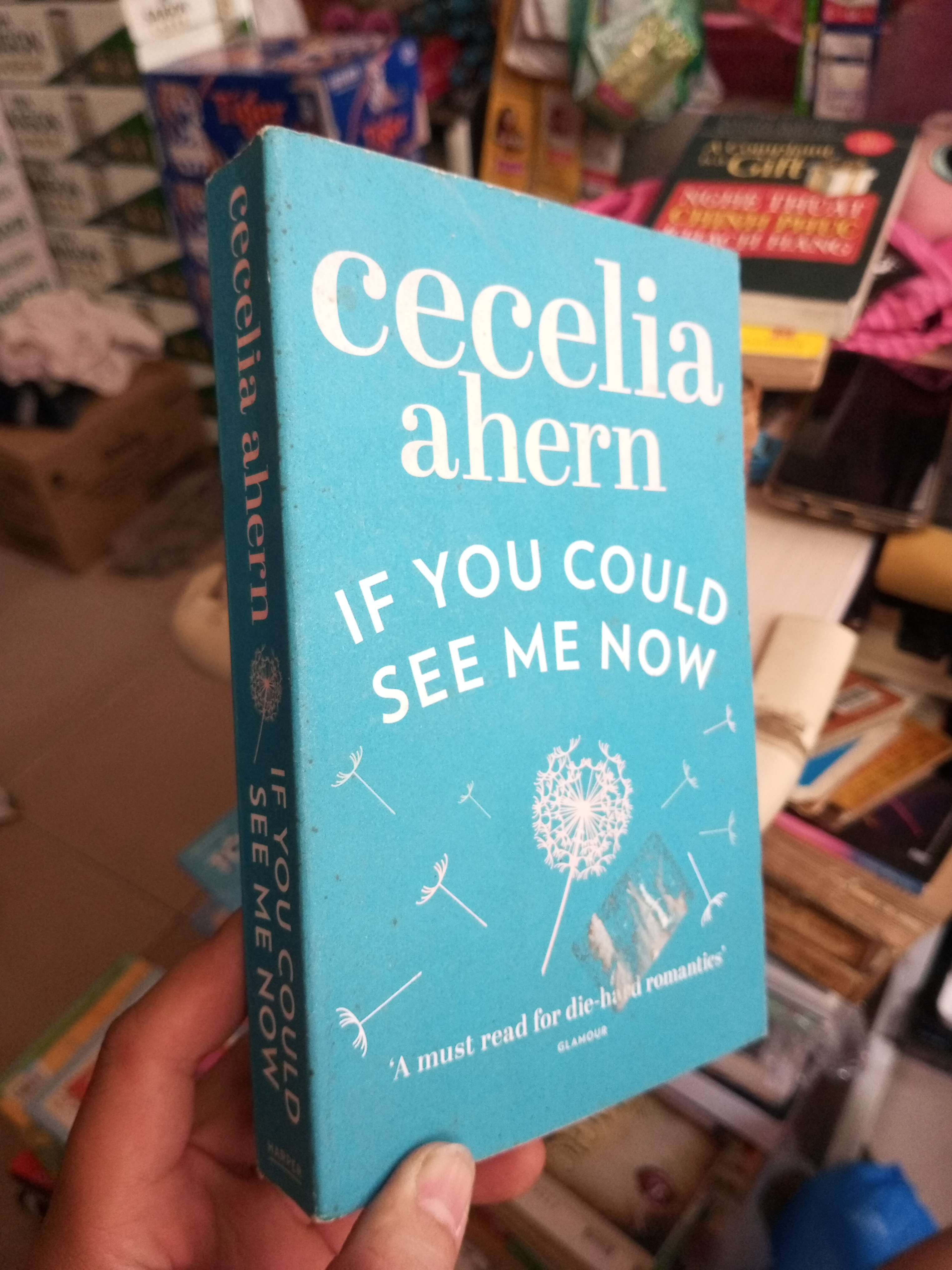 If You Could See Me Now - Cecelia Ahern