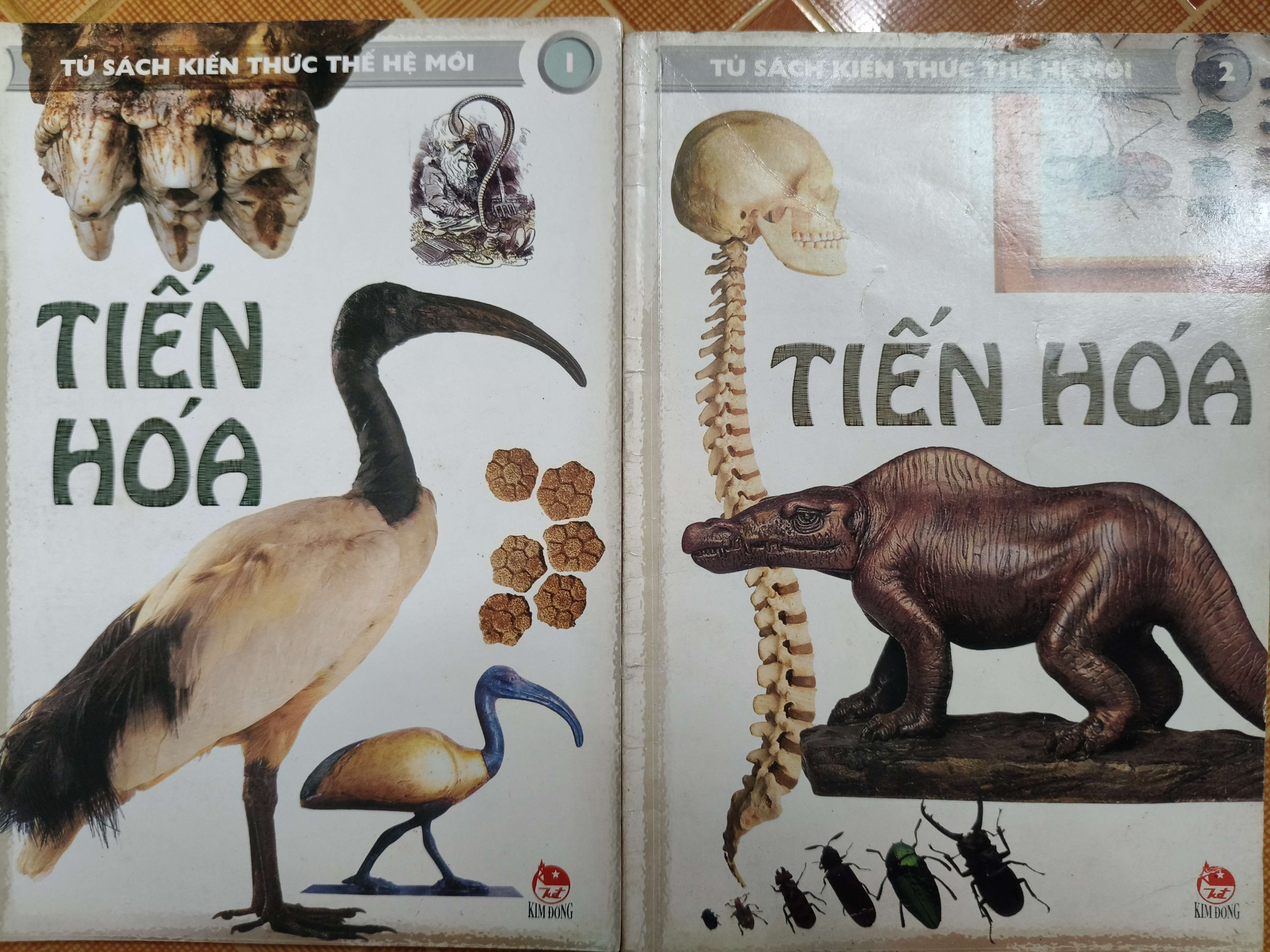 Tiến hóa
