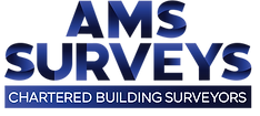 (OFFICIAL NEW) 4K AMS SURVEYS LOGO.png