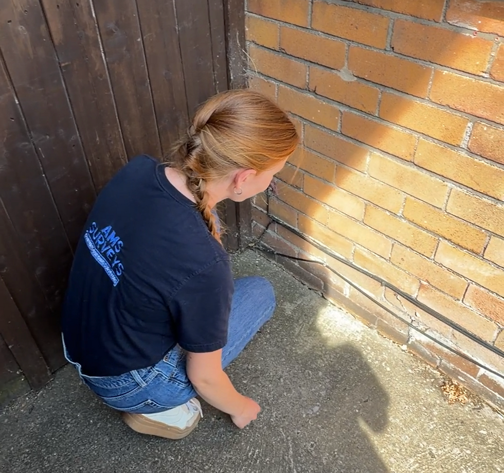 Surveyor examining external wall cracking with a tablet or notepad. RICS surveyor inspecting subsidence crack UK