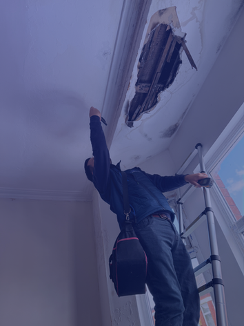 LEVEL 3 BUILDING SURVEY