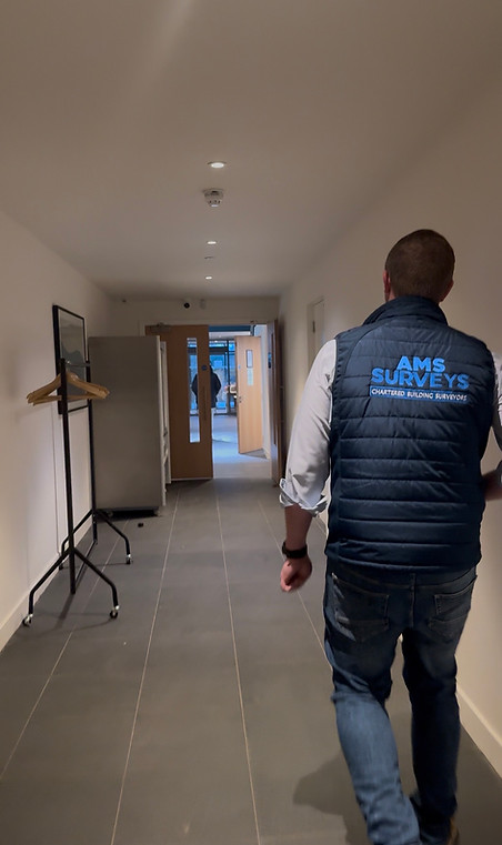 Commercial Property Surveyor