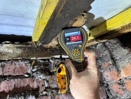 Damp Meter Showing Signs of Damp