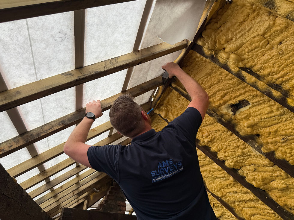 Surveyor inspecting loft insulation and roof timbers
