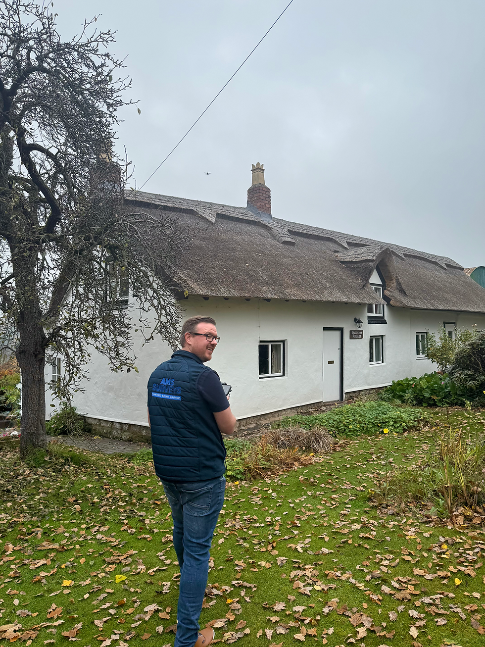 Heritage surveyor