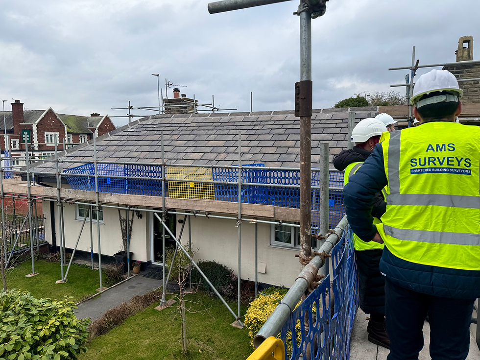 RICS SURVEYORS IN DEGANWY