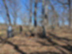 Sugar River Wetlands Workday